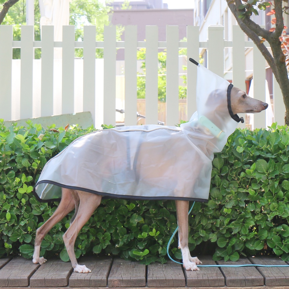 Dog Raincoat - Jubah Tetap Perut Tahan Angin Tahan