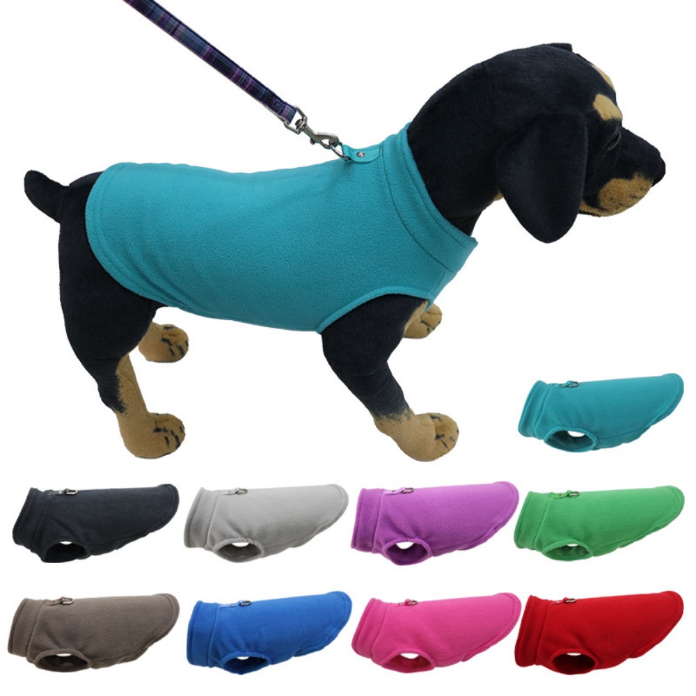 Pet Supplies Amazon - Eropa, Amerika, pakaian hewan peliharaan Amazon,