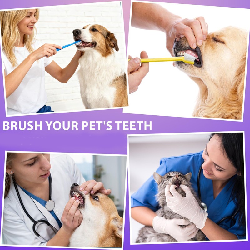 Dog Paw Cleaner - AB66-Alat Kebersihan Mulut Anjing- Sikat Gigi