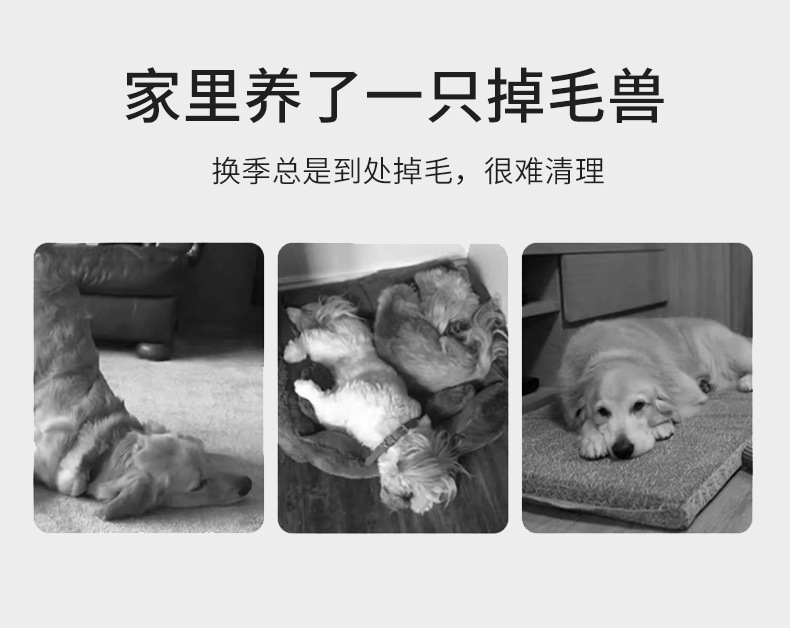 Alat Penyedot Bulu Hewan Pelih - Pet Supplies Amazon ulasan dan harga