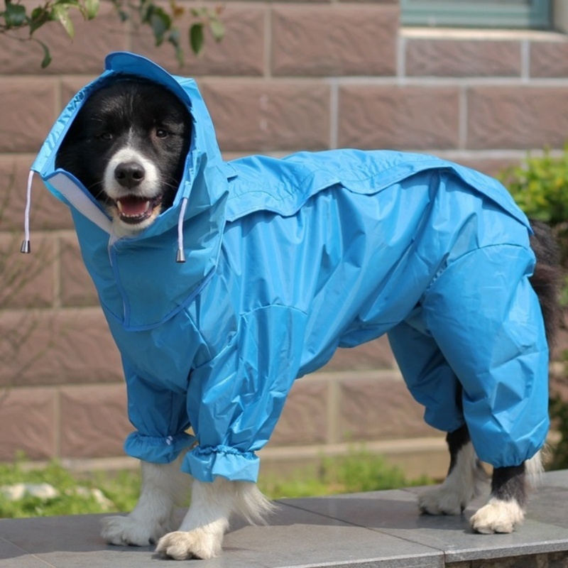 Jas hujan anjing luar ruangan  - Dog Raincoat ulasan dan harga