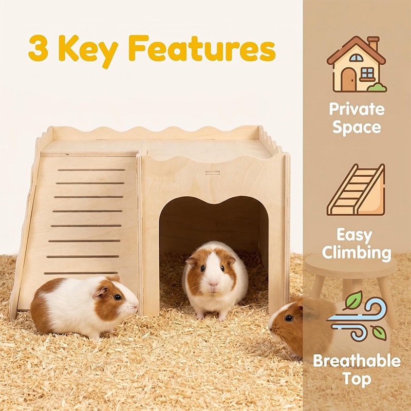Mainan Kayu Hamster Amazon, Pe - Pet Supplies Amazon ulasan dan harga