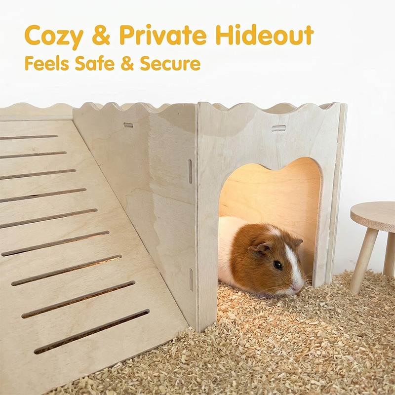 Mainan Kayu Hamster Amazon, Pe - Pet Supplies Amazon ulasan dan harga