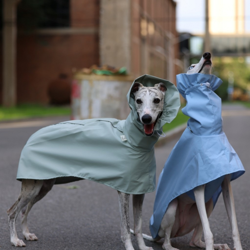 Jas Hujan Warna Solid untuk An - Dog Raincoat ulasan dan harga