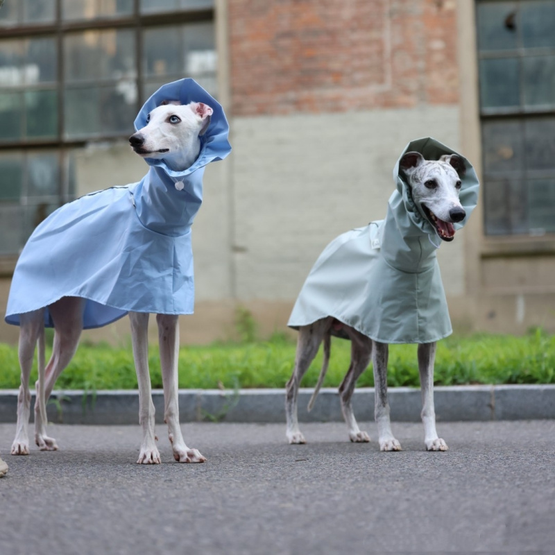 Jas Hujan Warna Solid untuk An - Dog Raincoat ulasan dan harga