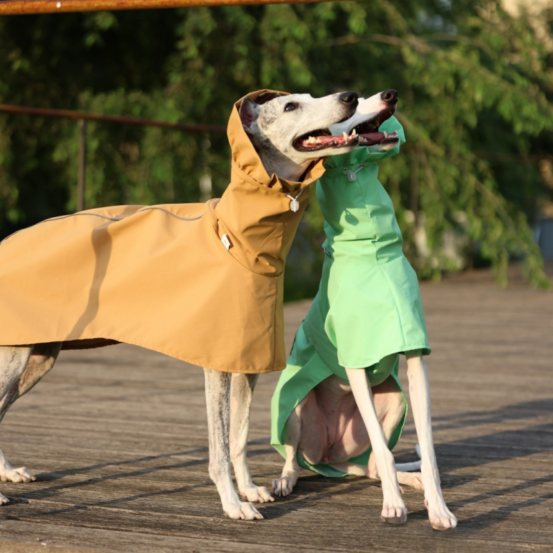 Jas Hujan Warna Solid untuk An - Dog Raincoat ulasan dan harga