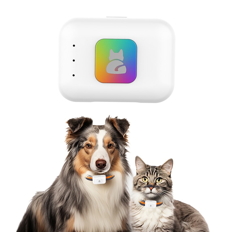 Perangkat Pelacak GPS Hewan Pe - Pet Supplies Discount ulasan dan harga