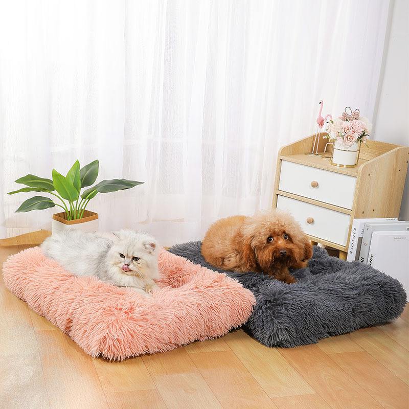 Alas Tidur Anjing Baru dari Am - Pet Supplies Amazon ulasan dan harga