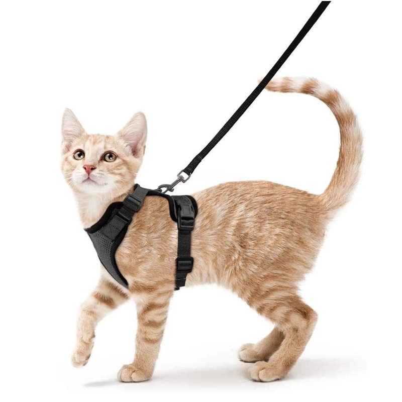 Tali Dada Hewan Peliharaan Ama - Pet Supplies Amazon ulasan dan harga