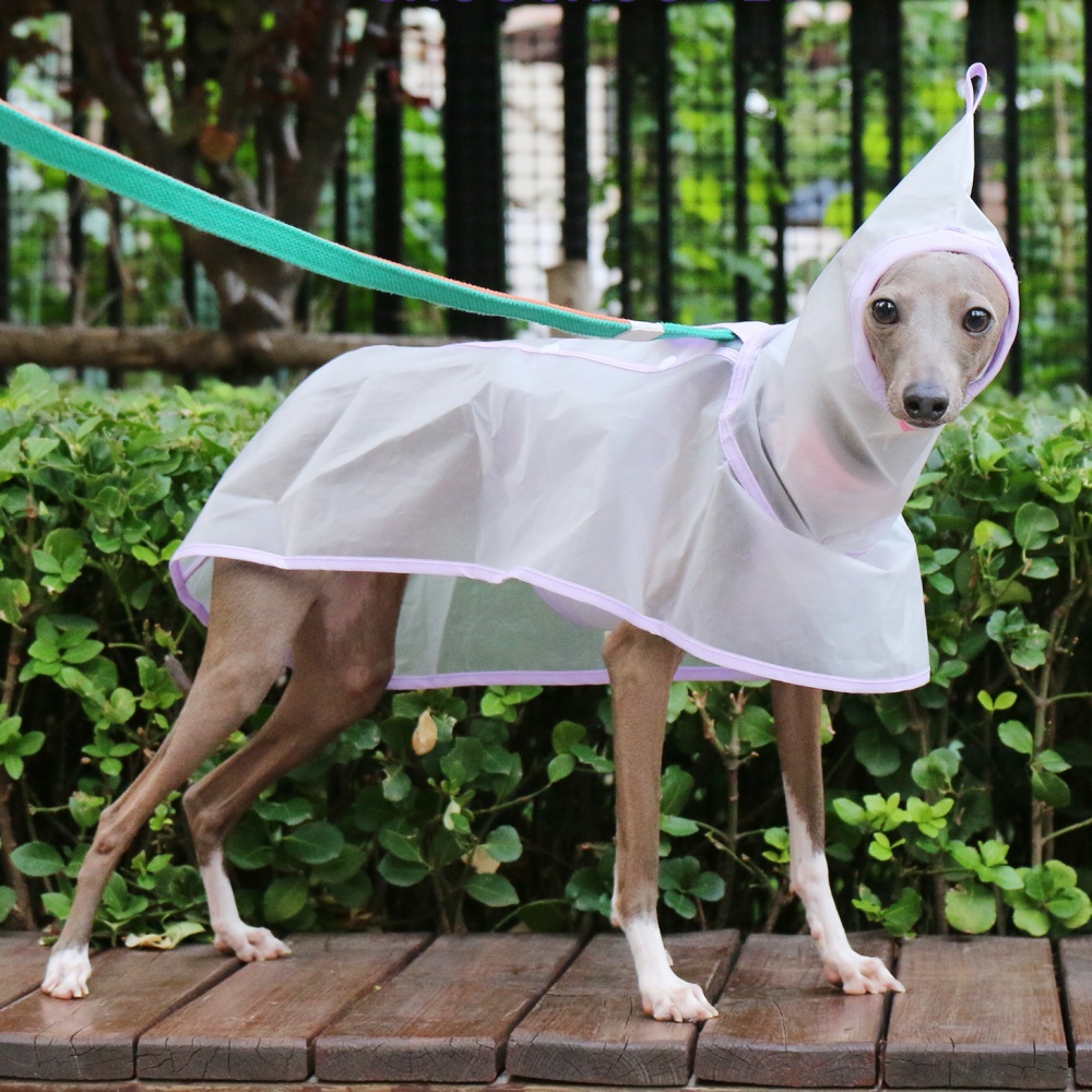 Jubah Tetap Perut Tahan Angin  - Dog Raincoat ulasan dan harga