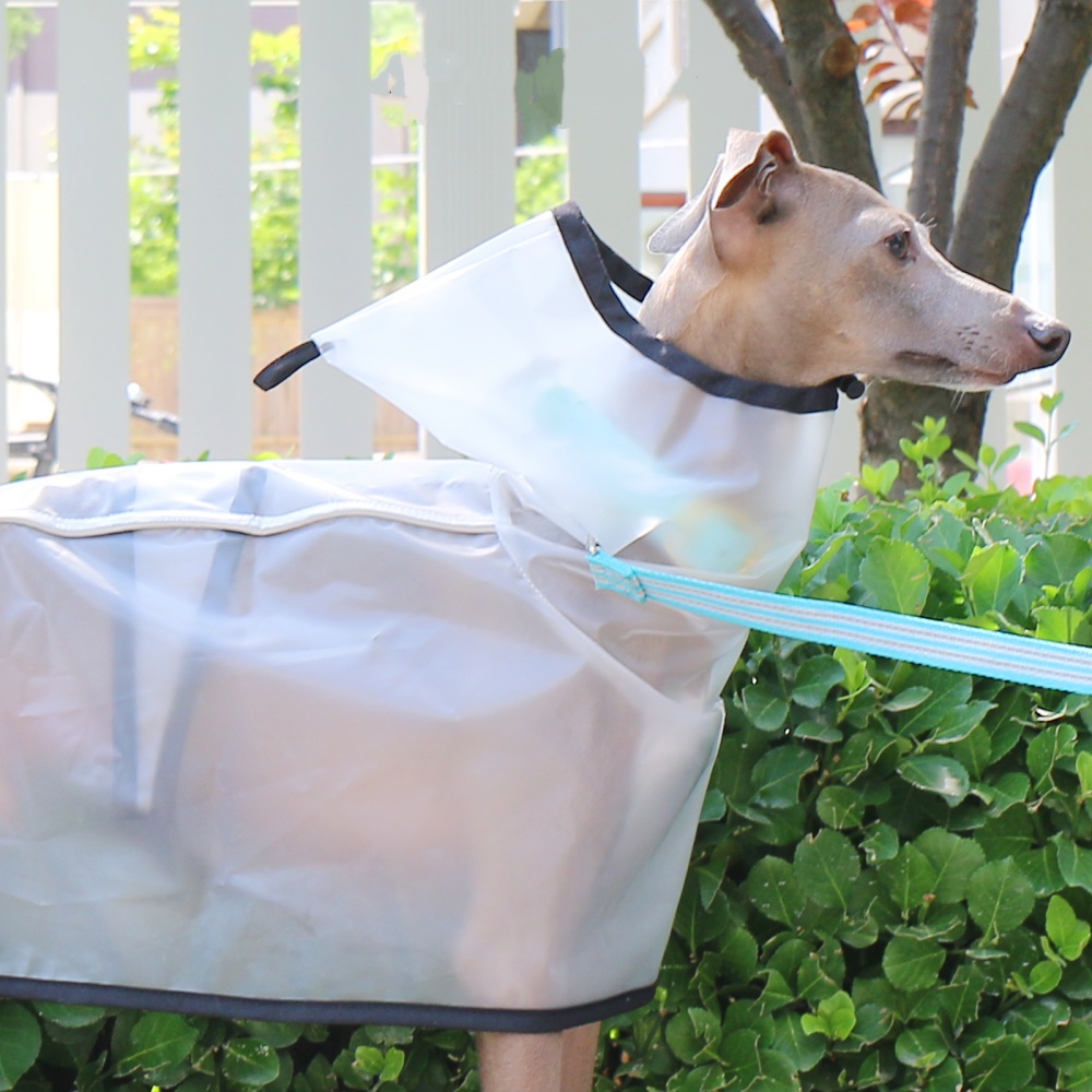 Jubah Tetap Perut Tahan Angin  - Dog Raincoat ulasan dan harga
