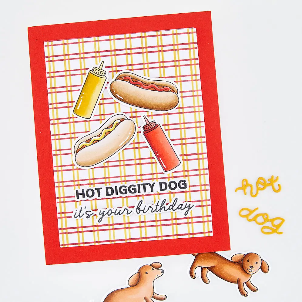 Hot Diggity Dog Squeeze Bottle - Dog Raincoat ulasan dan harga