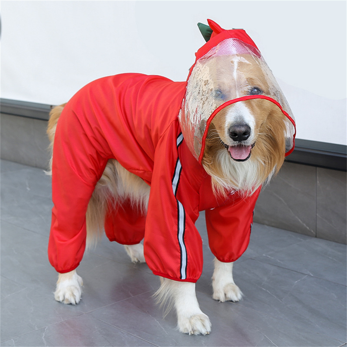 Jas hujan anjing tahan air anj - Dog Raincoat ulasan dan harga