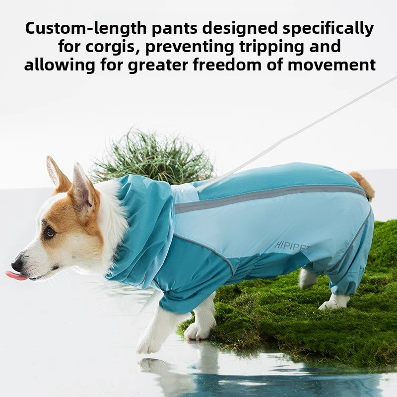 Jas Hujan Anjing Warna-Warni F - Dog Raincoat ulasan dan harga