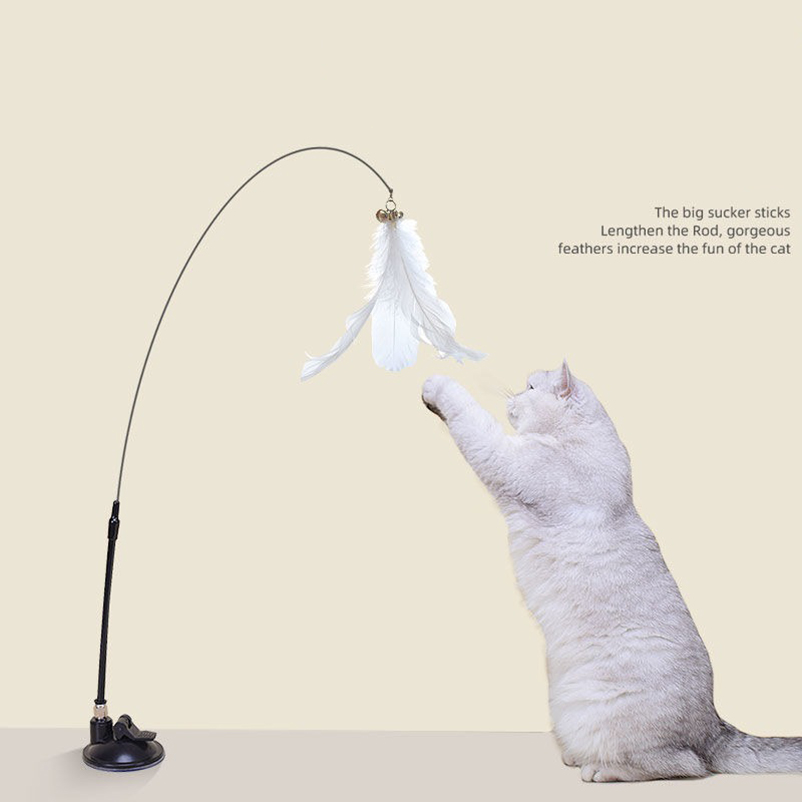 Tongkat penggoda kucing dengan - Pet Supplies Amazon ulasan dan harga