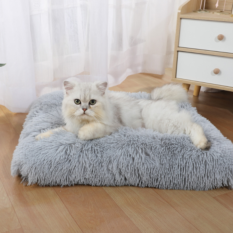 Alas Tidur Hewan Peliharaan Am - Pet Supplies Amazon ulasan dan harga