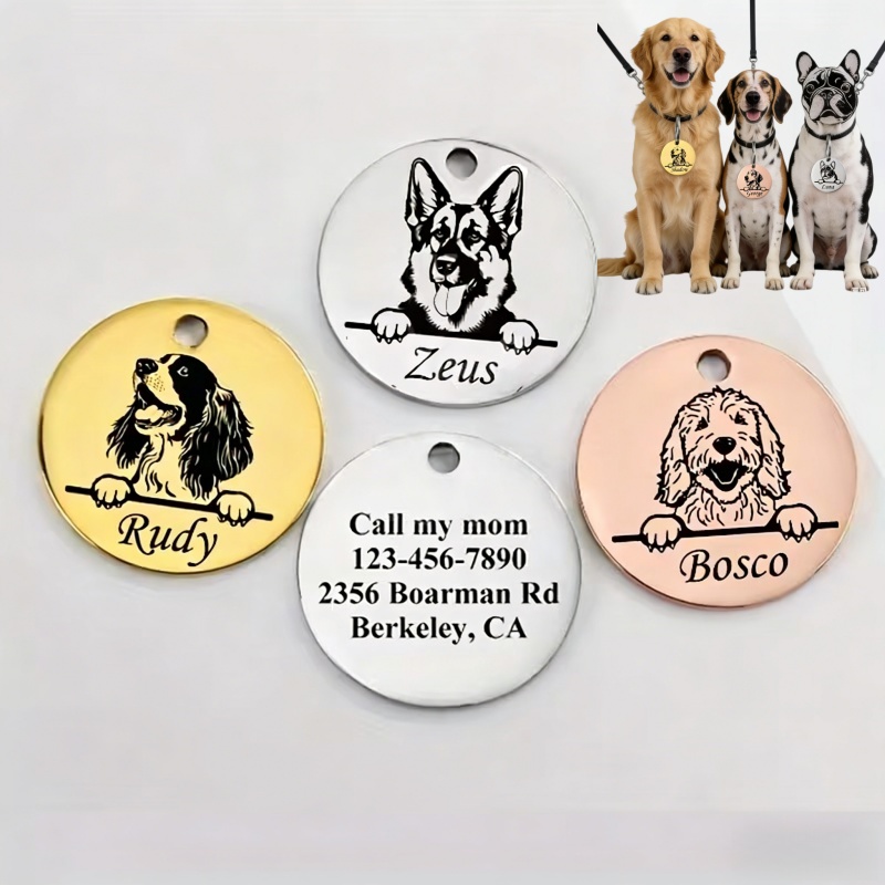 Kalung Anti-Hilang untuk Anjin - Pet Supplies Discount ulasan dan harga