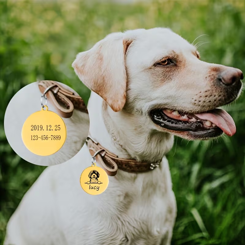Kalung Anti-Hilang untuk Anjin - Pet Supplies Discount ulasan dan harga